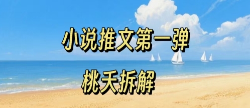 小说推文项目操作全流程第一弹，0粉就能做，门槛低非常适合新手-轻资产创富网