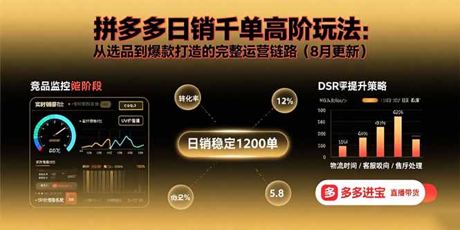 拼多多日销千单高阶玩法：从选品到爆款打造的完整运营链路(8月更新-轻资产创富网