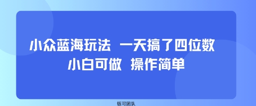 小众蓝海玩法 一天搞了四位数 小白可做 操作简单-轻资产创富网